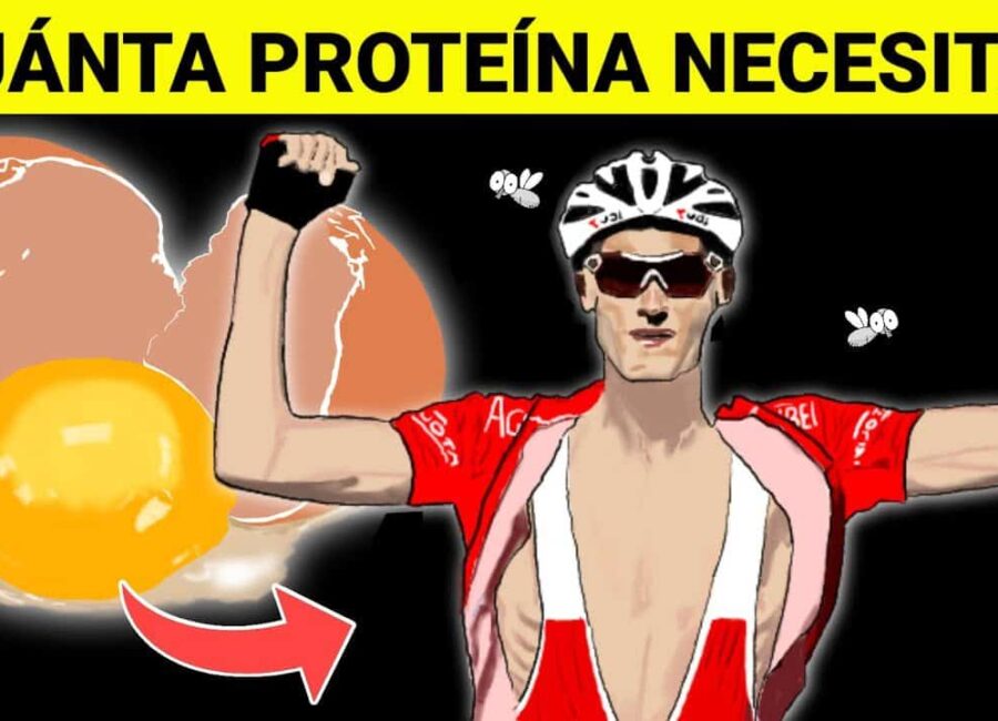 cuanta proteina necesitan los ciclistas