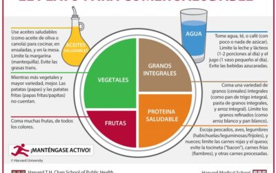 especies que bien puedes anadir en tu dieta diaria para obtener mas energia