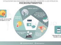 importancia de los micronutrientes en el deporte