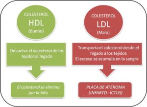 tipos de colesterol cual es el bueno y el malo