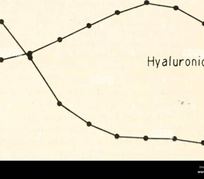 tri carb formula de tres carbohidratos ideal para pruebas de larga duracion