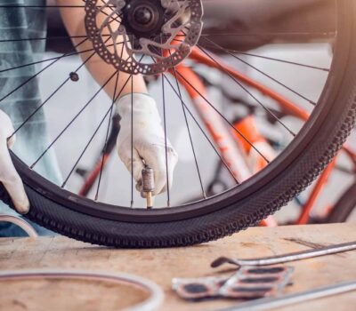 AdobeStock 339175981 1 scaled