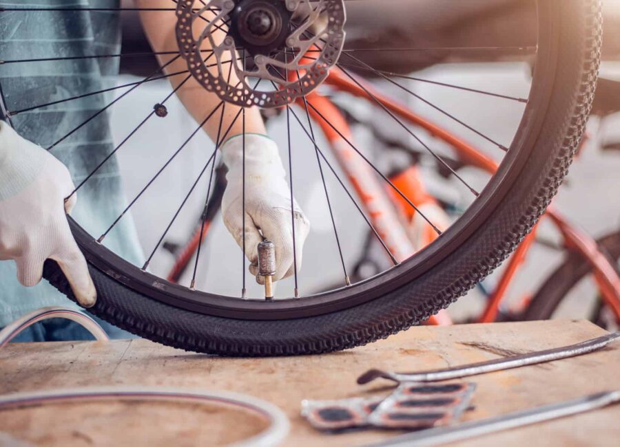 AdobeStock 339175981 1 scaled