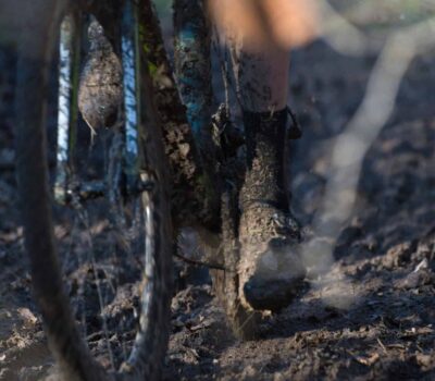 AdobeStock 478731992 1 scaled