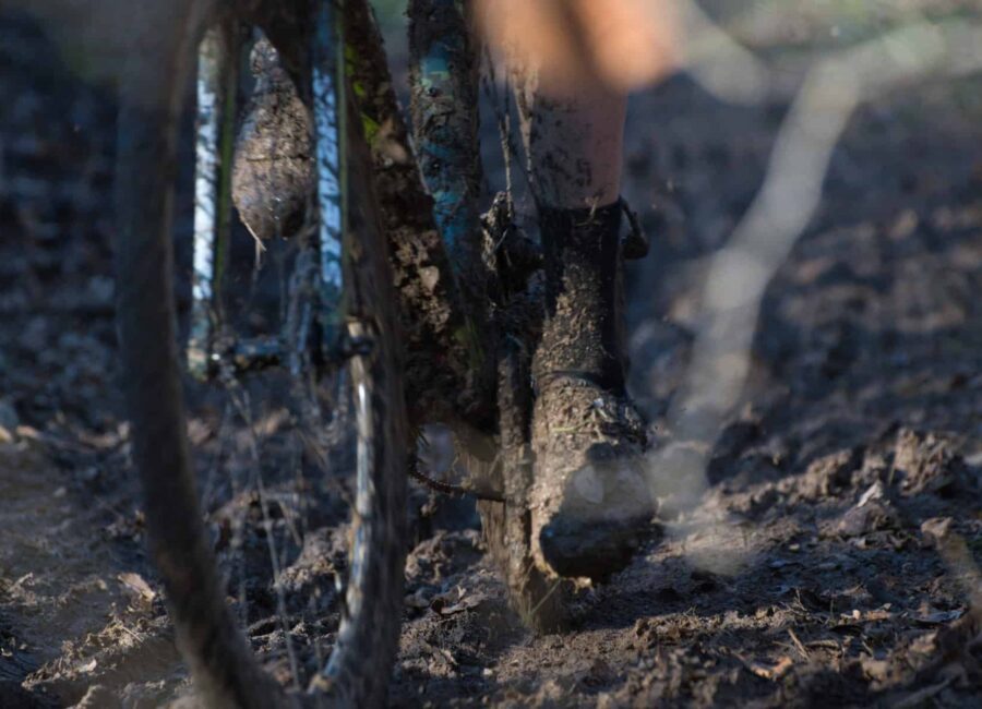 AdobeStock 478731992 1 scaled