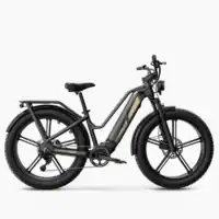 Fiido Titan: La bicicleta eléctrica de carga robusta con sensor de torque y certificación UL.
