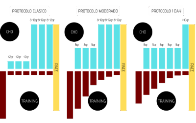 carga de carbohidratos 3 protocolos efectivos para maximizar tu rendimiento