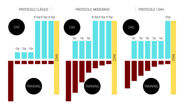 carga de carbohidratos 3 protocolos efectivos para maximizar tu rendimiento