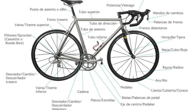 diccionario de geometria de la bicicleta guia completa