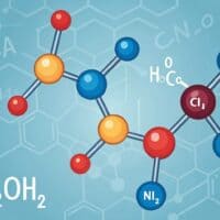 Maximiza la síntesis de proteínas con leucina: el aminoácido esencial