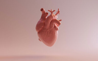 que es la variabilidad cardiaca y como te afecta todo lo que necesitas saber