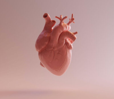 que es la variabilidad cardiaca y como te afecta todo lo que necesitas saber