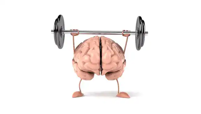 como funciona la memoria muscular en el ciclismo