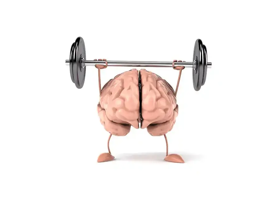 como funciona la memoria muscular en el ciclismo