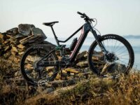 e bike systems ep801 bike