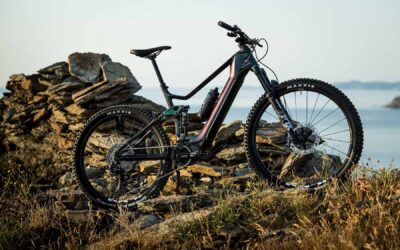 e bike systems ep801 bike