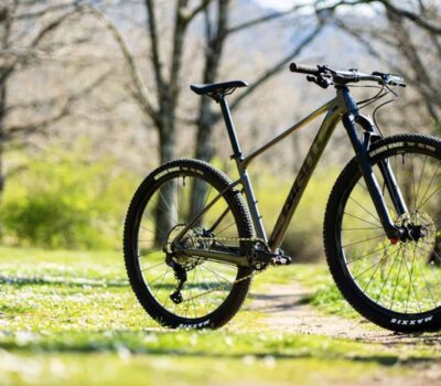 Captura de Pantalla 2024 05 13 a las 17.01.41