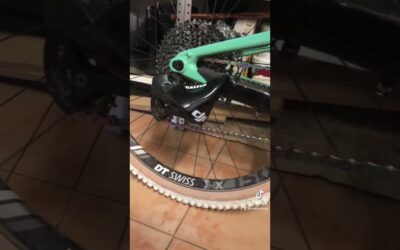 asi funciona el protector de cambio branchy guia completa 1