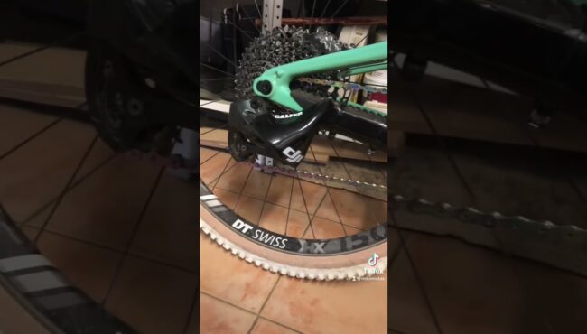 asi funciona el protector de cambio branchy guia completa 1