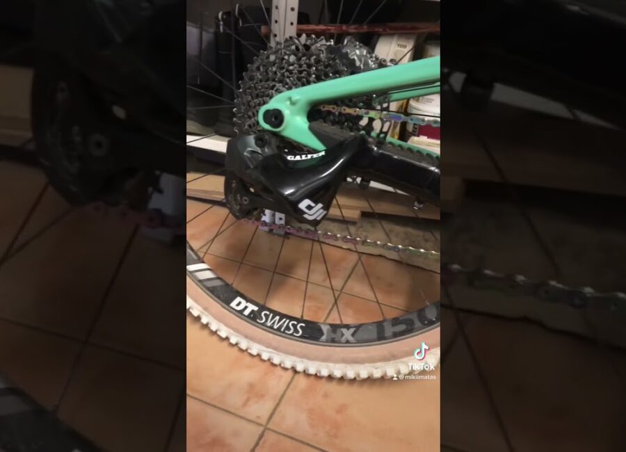 asi funciona el protector de cambio branchy guia completa 1