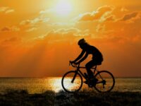 cyclist 4106536 1920