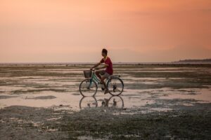 la dgt plantea que los ciclistas tengan que matricular sus bicicletas realidad o rumor