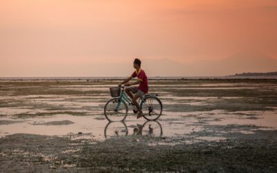 la dgt plantea que los ciclistas tengan que matricular sus bicicletas realidad o rumor