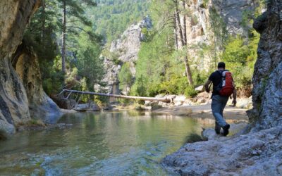 puertos de beceite guia de senderismo y naturaleza 1