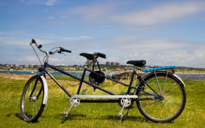 tandem 2454510 1920