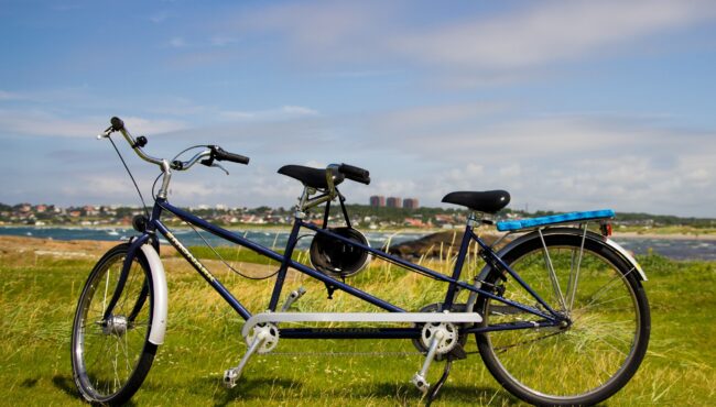 tandem 2454510 1920