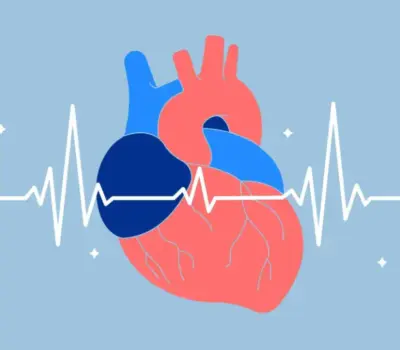 entendiendo la variabilidad de la frecuencia cardiaca vfc y su importancia para ciclistas