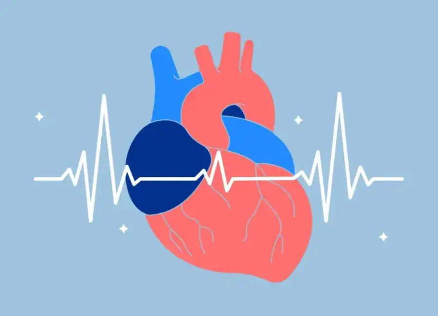 entendiendo la variabilidad de la frecuencia cardiaca vfc y su importancia para ciclistas