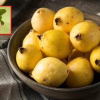 Alimentos en tonos amarillo: beneficios nutrimentales e importancia de su integración en la dieta diaria