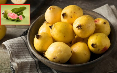 alimentos en tonos amarillo beneficios nutrimentales e importancia de su integracion en la dieta diaria