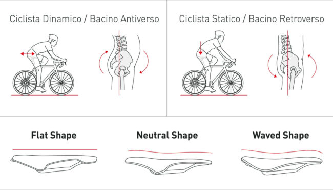 como saber que talla de sillin necesito 6