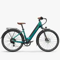 Fiido C11 Pro: Análisis a fondo de una eBike urbana con estilo y prestaciones