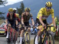 52243437116 2fdad3e75b k