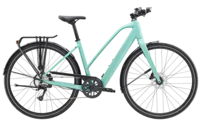 FXPlus2LTStag 24 40491 B Primary