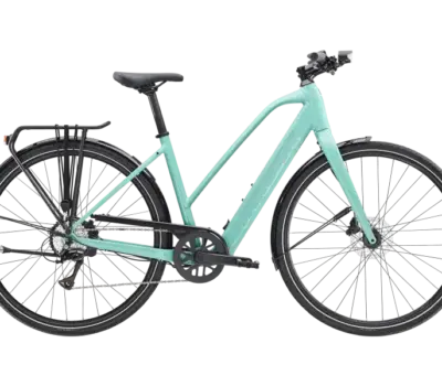 FXPlus2LTStag 24 40491 B Primary