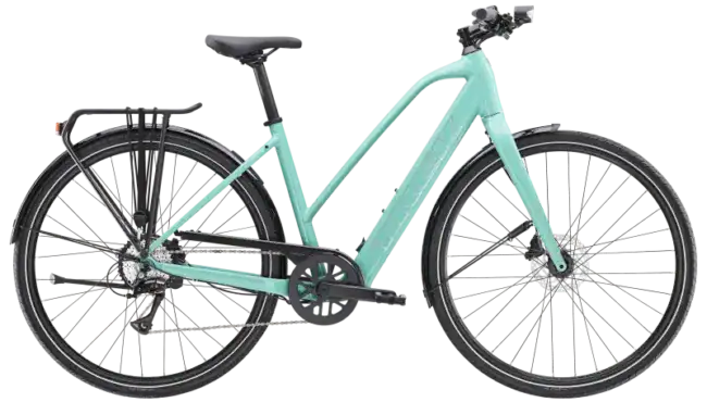 FXPlus2LTStag 24 40491 B Primary