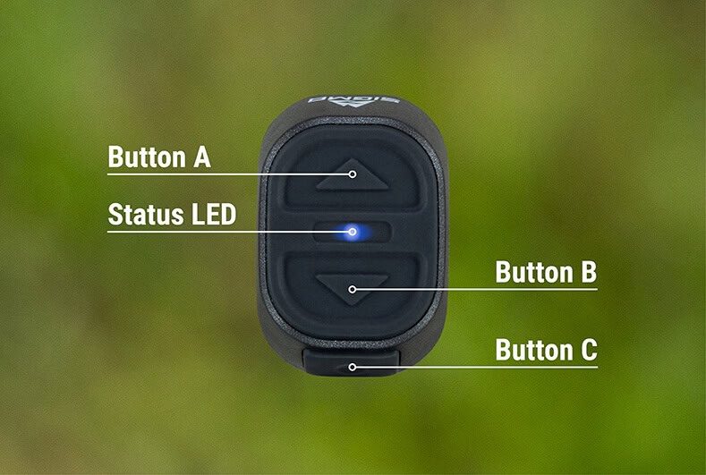 Sigma Remote One