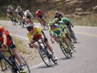 20320889304 002cf54d2b b