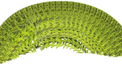 3d struture