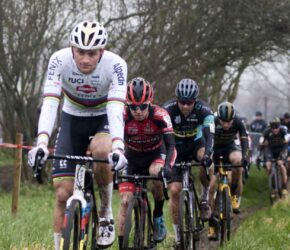 49381407481 c2b540b103 o