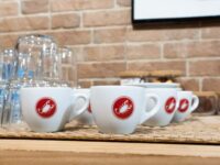 Captura de Pantalla 2024 12 08 a las 9.16.22