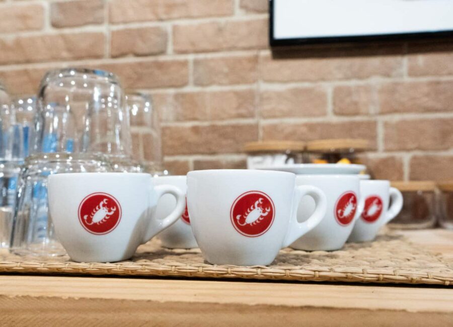 Captura de Pantalla 2024 12 08 a las 9.16.22