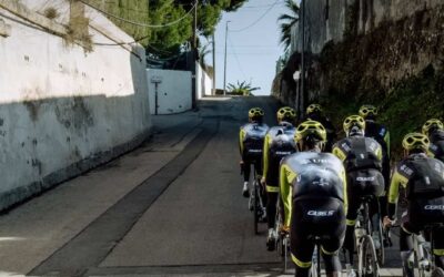 Q36.5 Pro Cycling Team