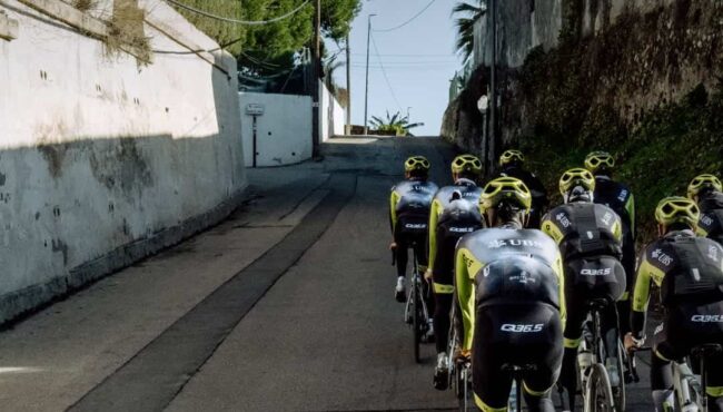 Q36.5 Pro Cycling Team