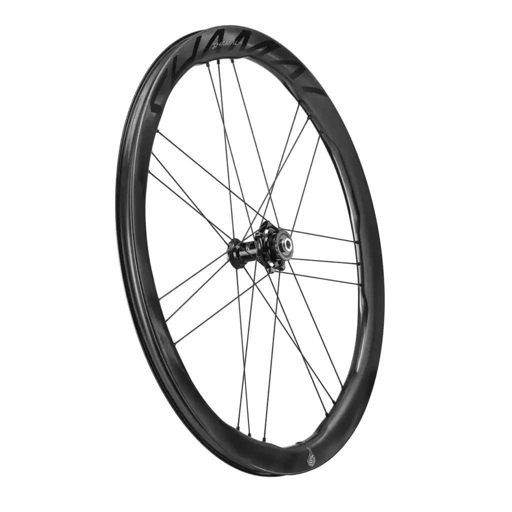 Nuevas Ruedas Campagnolo Shamal