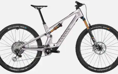 full 2024 3538 neuron on fly ltd M166 P04 P5
